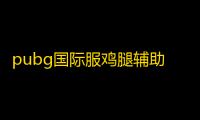 pubg国际服鸡腿辅助官网版9.64MB/2023-05